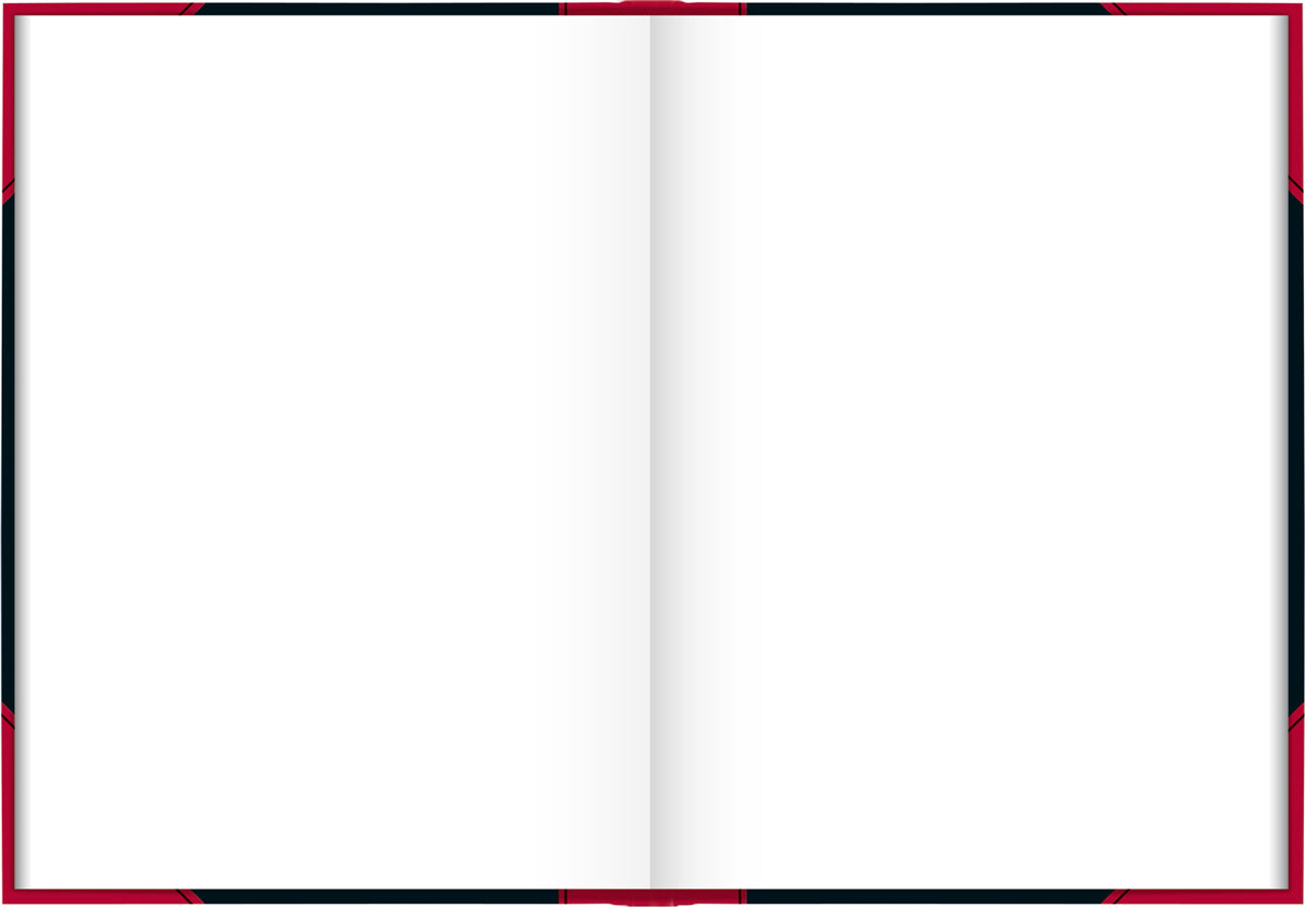 Brunnen-Chinabuch-Kladde-Notizbuch-A4-blanko-lineatur-865503301-kaufen-lafueliki