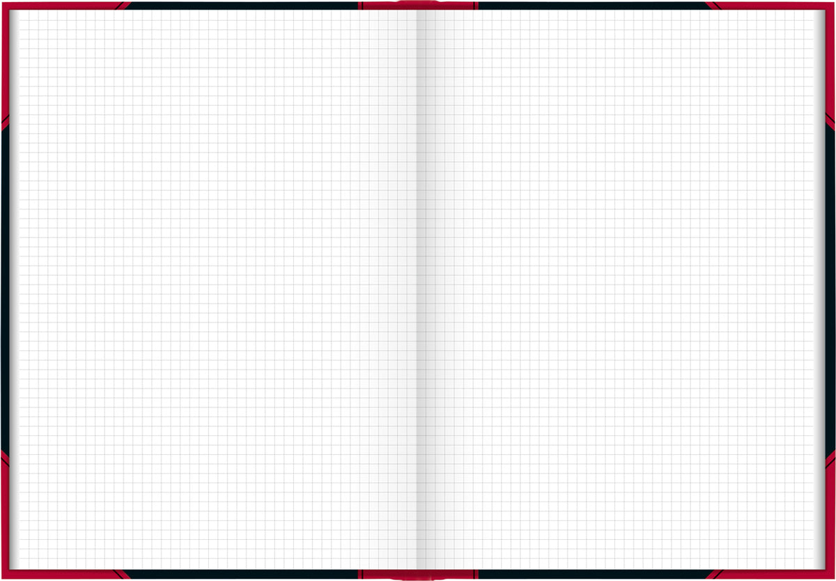 Brunnen-Chinabuch-Kladde-Notizbuch-A4-kariert-lineatur-865523301-kaufen-lafueliki