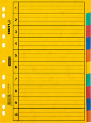 Brunnen-Ringbuchregister-A4-10tlg-5-Farben-1066586