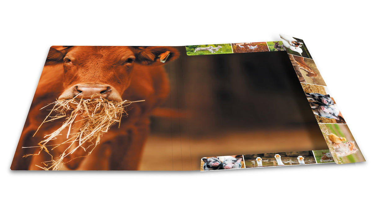 Herma-Sammelmappe-A3-Pappe-Bauernhof-Tiere-ansicht-innen-19454-lafueliki