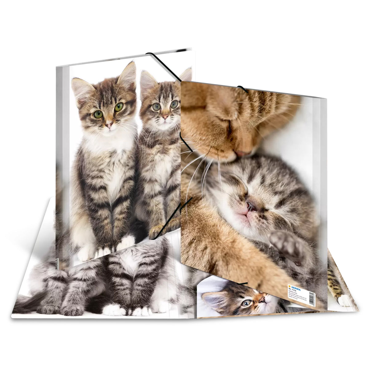 HERMA Sammelmappe A4 · PP · Katzen
