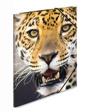 Herma-Sammelmappe-A4-PP-Kunststoff-Raubkatzen-Leopard-Tiger-7137-zeichenmappe-kaufen-lafueliki