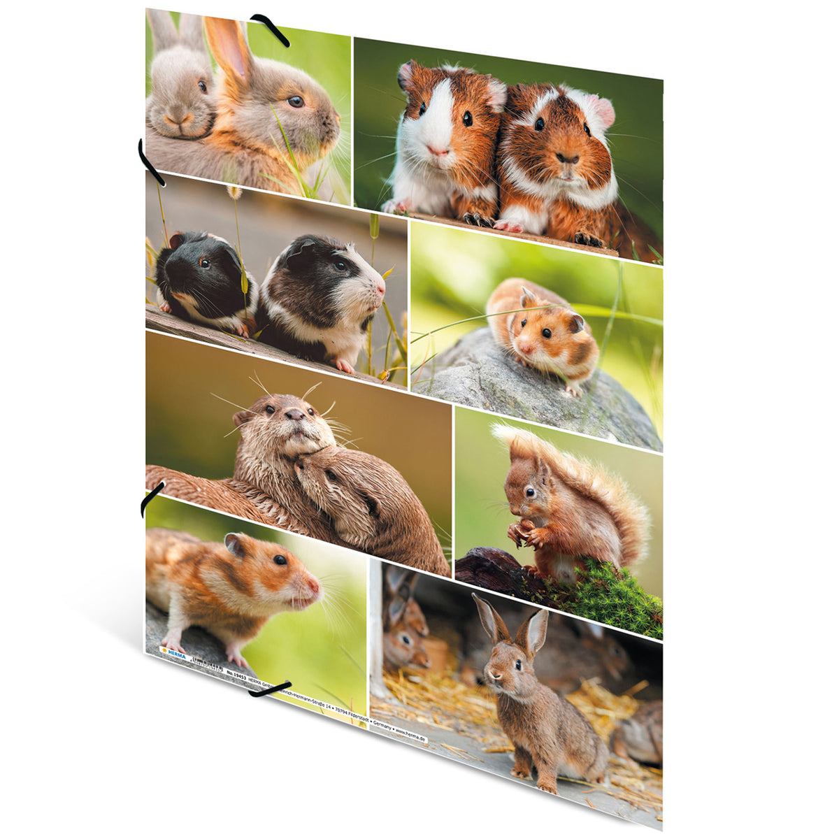 Herma-Sammelmappe-A4-Pappe-Nagetier-Meerschweinchen-ansicht-rueckseite-19343-lafueliki