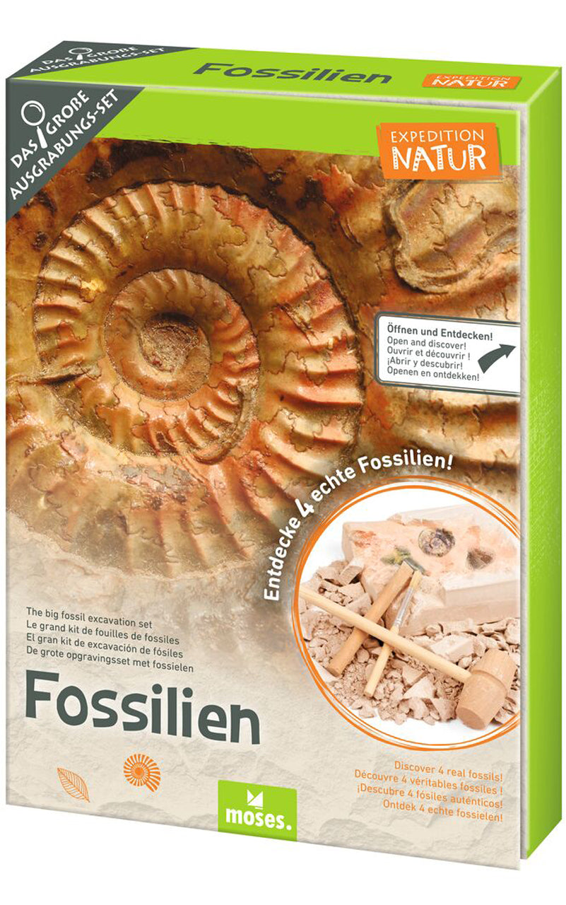 Moses-Verlag-Ausgrabungsset-fuer-Kinder-4-echte-versteinerte-Fossilien-Expedition-Natur-Komplettset-9832-kaufen-lafueliki