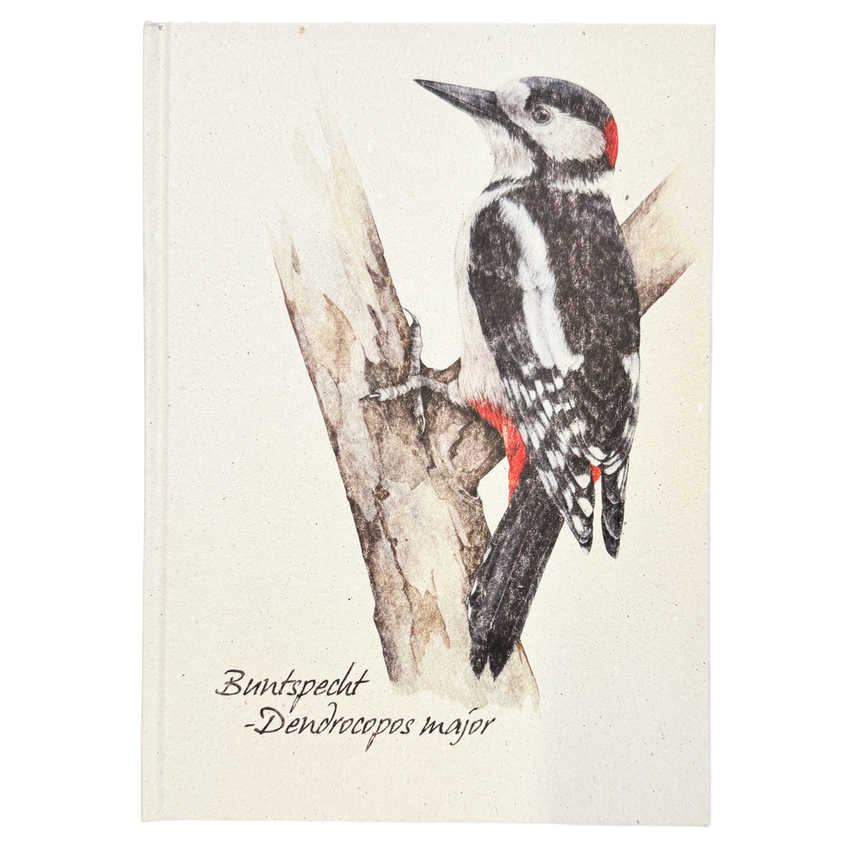 Pagna Notizbuch A5 · Specht · dotted
