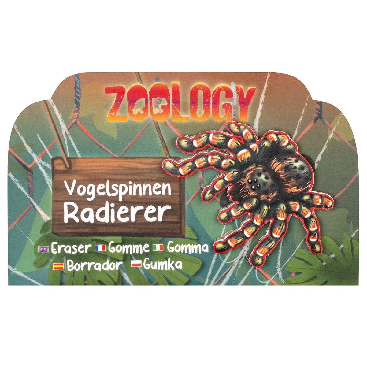 Trendhaus-Radierer-Vogelspinne-spinne-banner-959577-ZOO-lafueliki