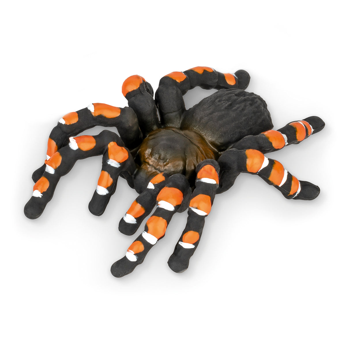 Trendhaus-Radierer-Vogelspinne-spinne-orange-959577-ZOO-lafueliki