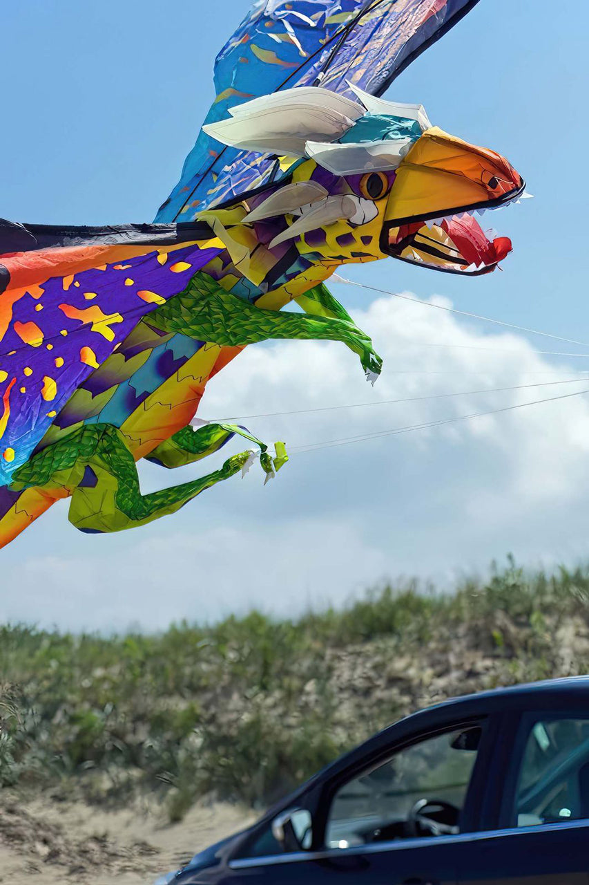 WindNSun-3D-Einleiner-Drachen-Drache-Fire-Drache-Kinder-gross-online-kaufen-lafueliki